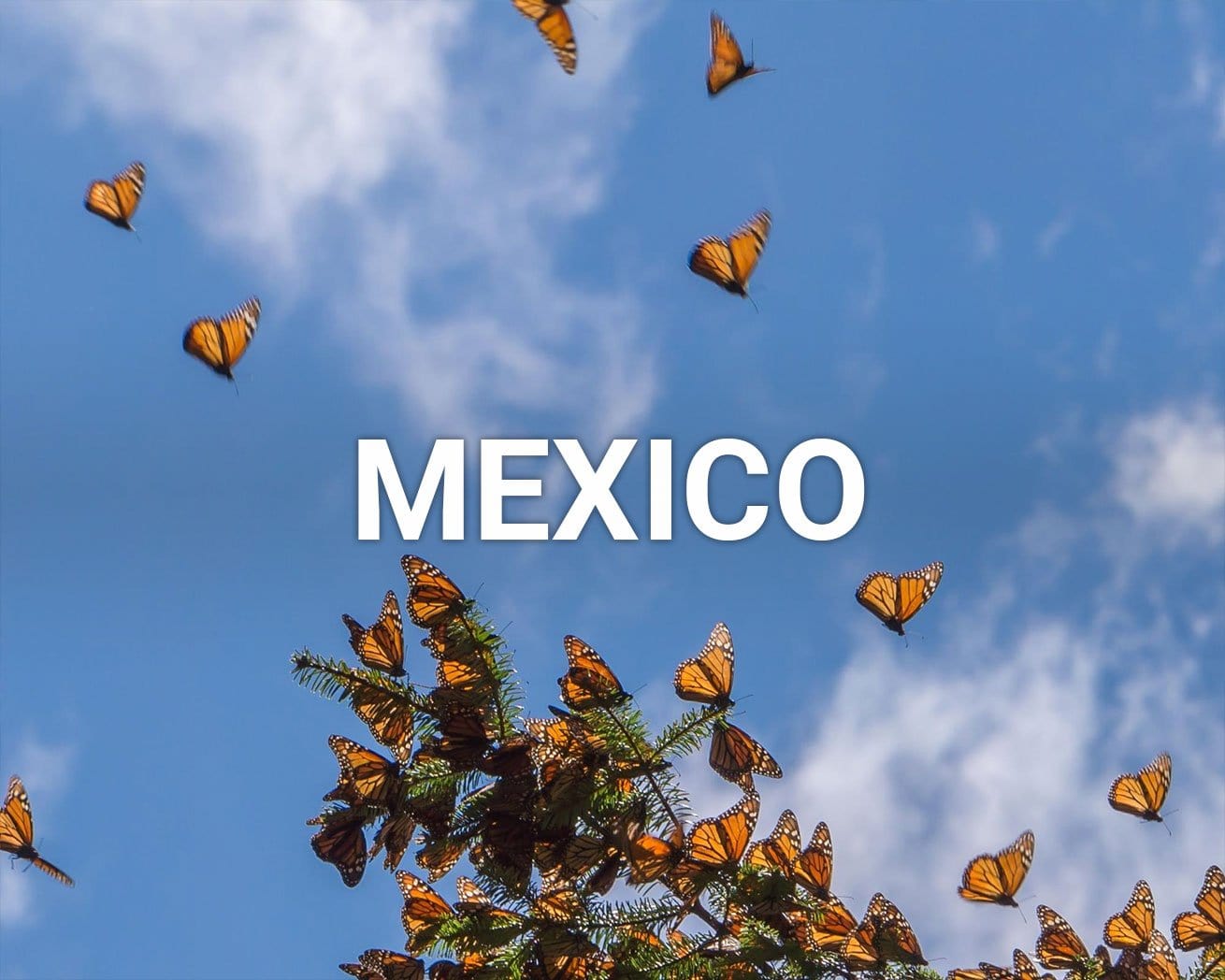 Mexico